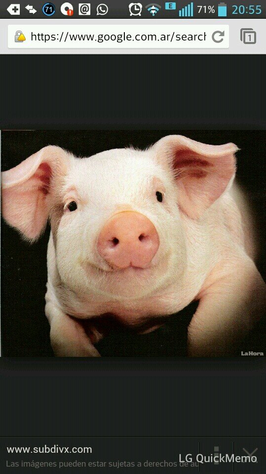 guillermoulla's profile picture. 