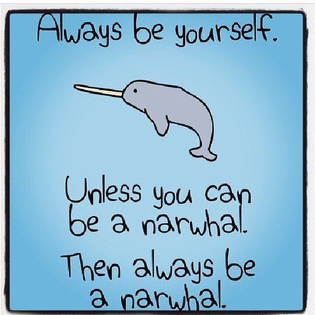 i like narwhals reaching for the moonLanding on the stars⭐️Dumb and Dumber 22 FL.U know some people would rather die than be who they really are.. 2-12-15