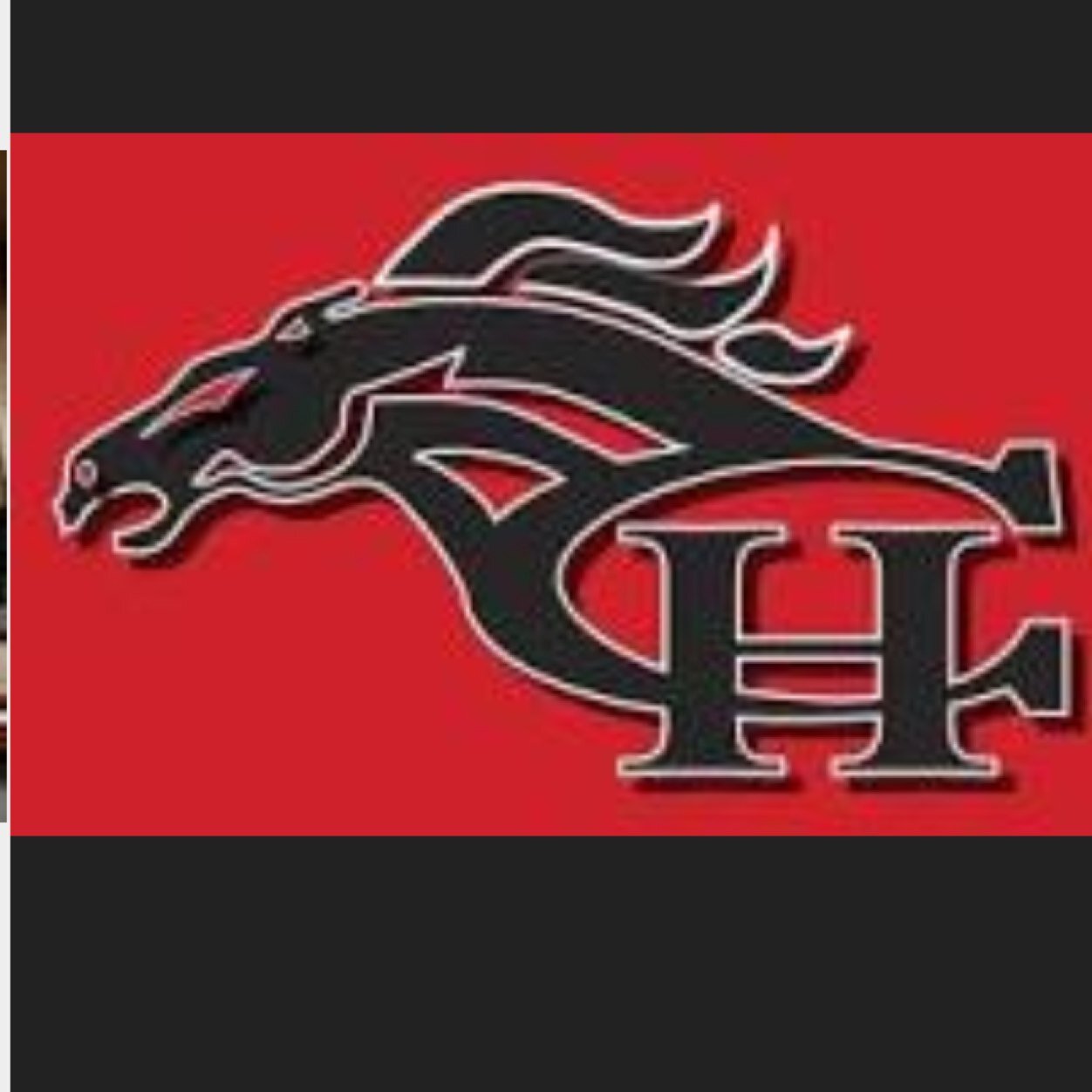 Student Governing Body of Center Hill High School.