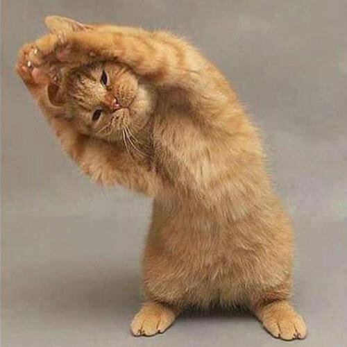 antsy13's profile picture. 