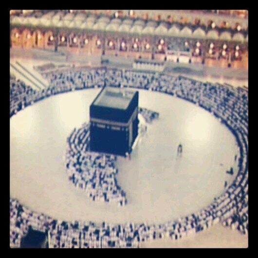 a1212asds's profile picture. 