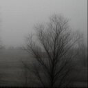 Walter Todd Film - @Waltertodd_ - Twitter