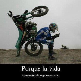 Follw me and you follow sigueme que yo te sigo!!