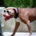 Connor McCartney - @CJMAN17ISABOSS - Twitter