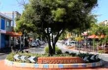 Elwood is still one of those places you can walk down the street and start talking to the locals as if you had known them for years.