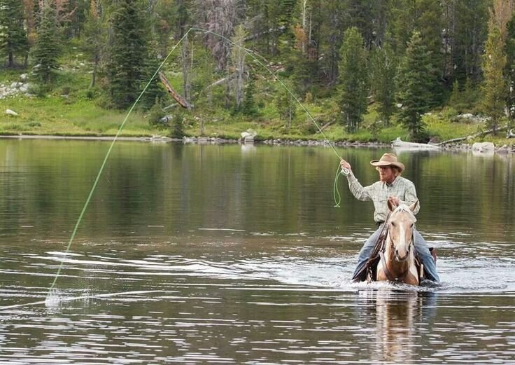 timtroutfishman's profile picture. Spey fishing in Montana is heaven