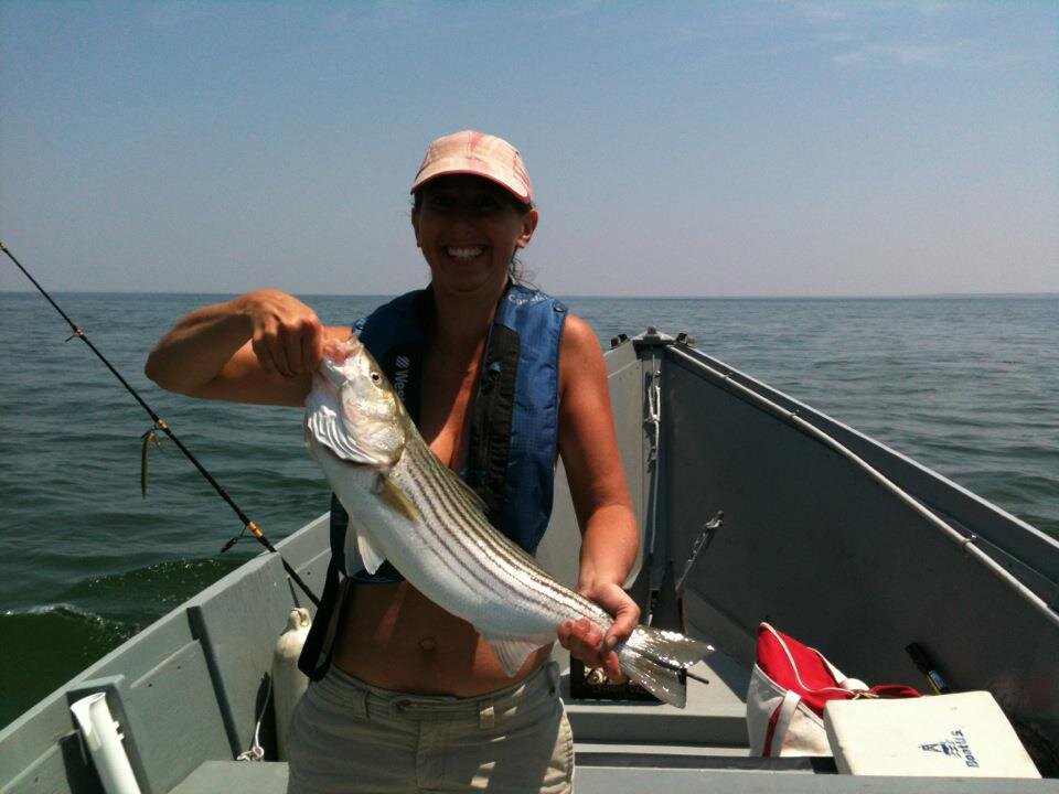 MJShenker's profile picture. 2000 miler, scientist, teacher, mother, wife, cyclist, climber, hiker, optimist