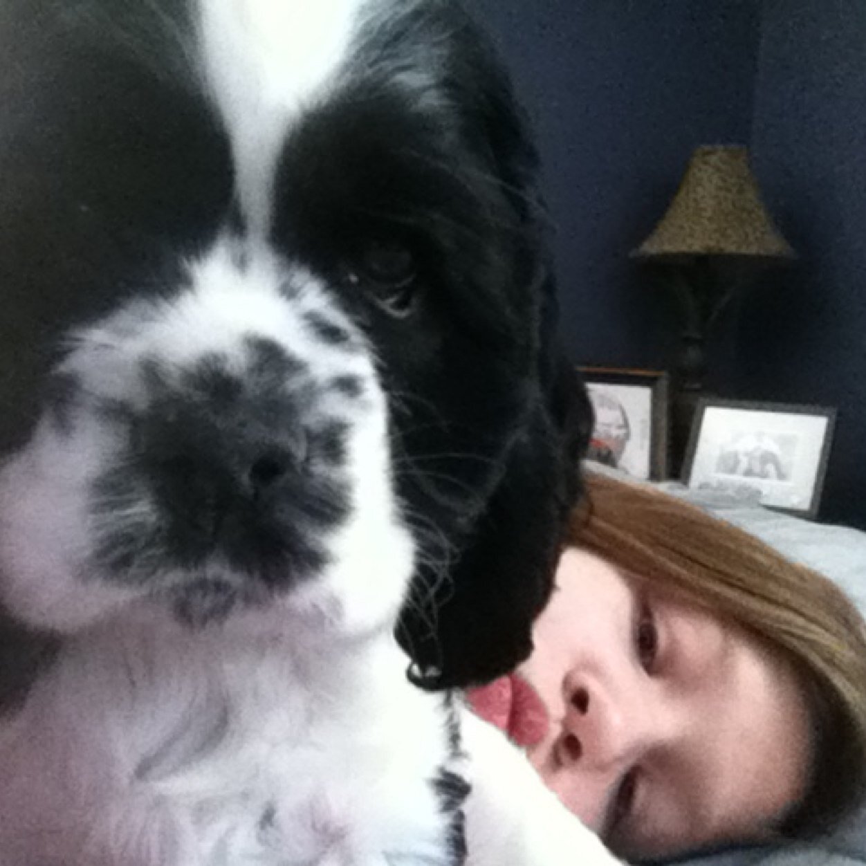 xxdogsareamaze's profile picture. 