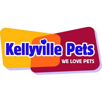 Kellyville pets puppies cheap