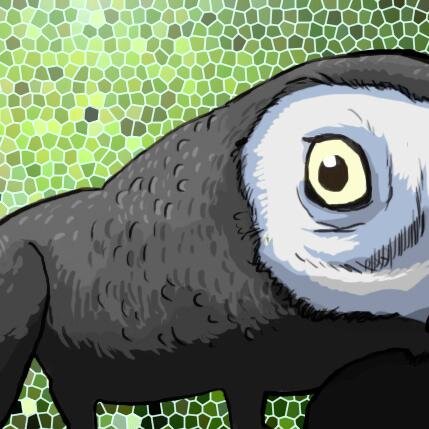 volume04's profile picture. 頚椎ヘルニアン手術マン。 2014年式赤子マンガールはウルトラマンLOVE！ ヒョウモンガメ(享年20)&2代目(9) 2代目ヨウム(21)コミドリコンゴウ(9)とシロハラ(2)、のっそり育児中☺︎ シエンタ(3代目) 今ではライトゲーマー instagram:volume004 ₍₍⁽⁽( ･◡･ )₎₎⁾⁾