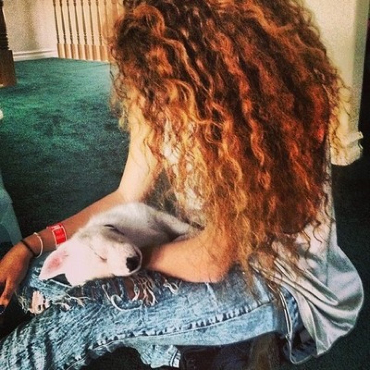 Youtuber,Singer,Music Lover,Animal Lover,Internet Addict,Mermaid,Red Head http://t.co/7KBINPpF0O