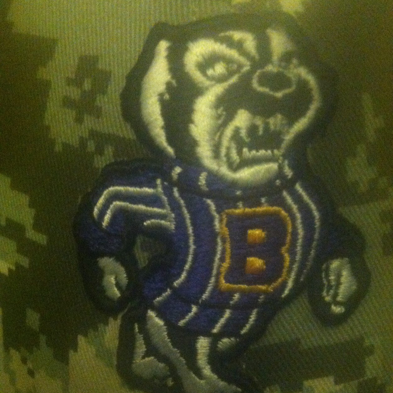 Badgersfball's profile picture. Home of the Berkshire Badger football team!!