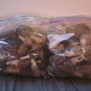 Ruth Akers - @RuthAkers4 - Twitter