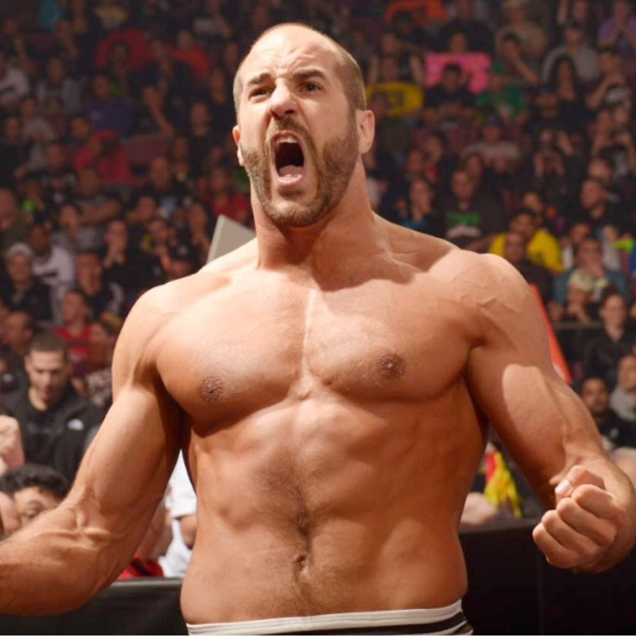 I'm a wicked big wrestling and Bruins fan. Backup for @ZigglersBetter.