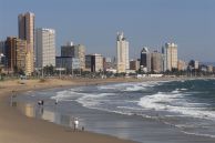 durban_travel's profile picture. Durban Hotels and Durban Attractions - Latest news direct from Durban, South Africa!