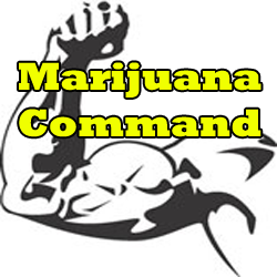 weed_widgets's profile picture. Smoke a Pipe makes marijuana reform widgets, applications and attempts to mass distribute cannabis news.
