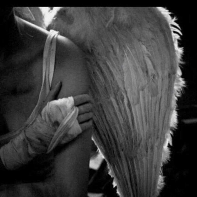 Just one sad, lonely, depressed, fucked up girl. Fallen angel, ready to rise.