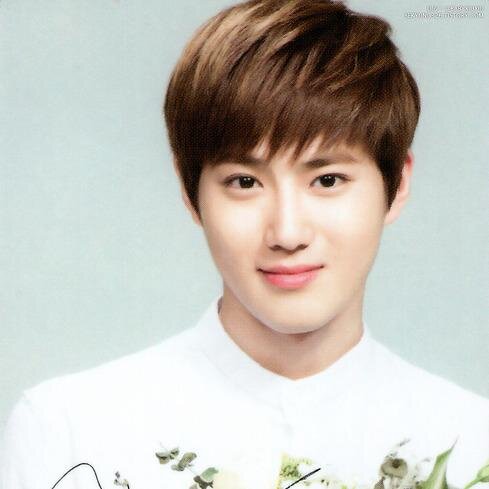 kkygg05's profile picture. Moonlight