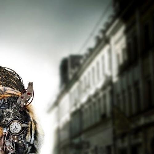 ochougrani's profile picture. Passionate Software Engineer