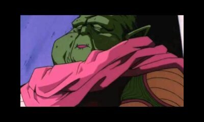 The savior of allll Namekians. I am Super Kami Guru and I'm the one not judging you on your appearance. NAIIIIIILLLLLLL!