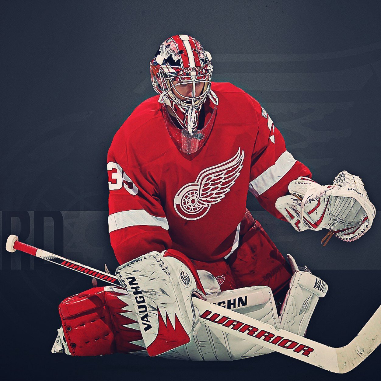 Avid Wings fan #HockeyTown