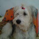 Marina Laura Cuello - @marinaele72 - Twitter