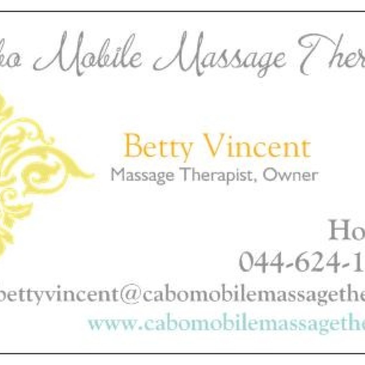 Mobile massage therapy