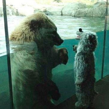 L3NApop's profile picture. please don’t follow me