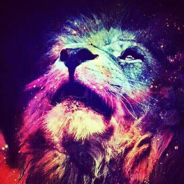 d2ca6f4255a24e8's profile picture. 