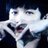 laypiaoliang's profile image