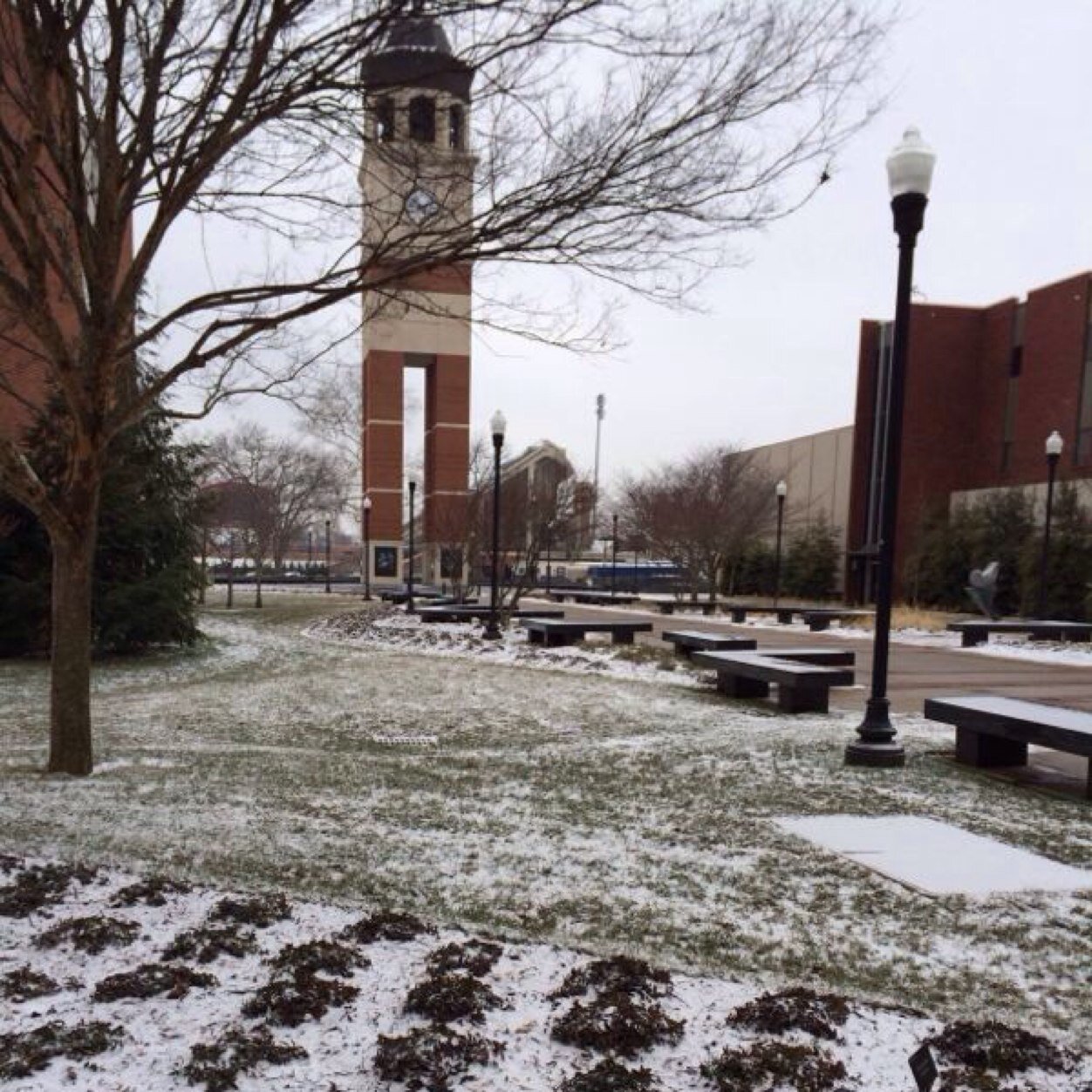 6618Ksa's profile picture. 