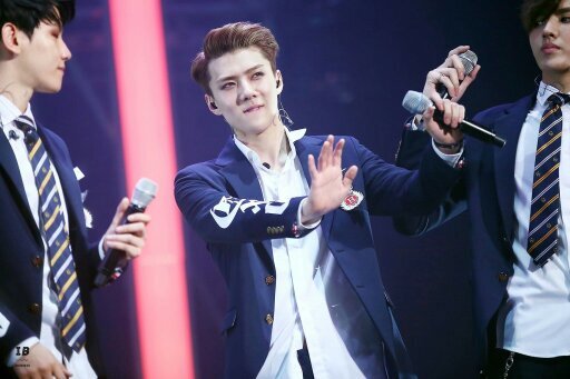 HunHan ChanBaek KaiDo KrisLay ChenMin TaoHo.          |We are one| You're my love|