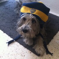 griss mendoza (@grissmb) 's Twitter Profile Photo