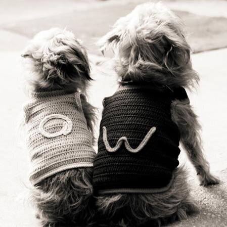 A little restaurant named after two little dogs. Tuesday to Saturday 6 to 11 p.m. For reservations, call 213.687.0300.