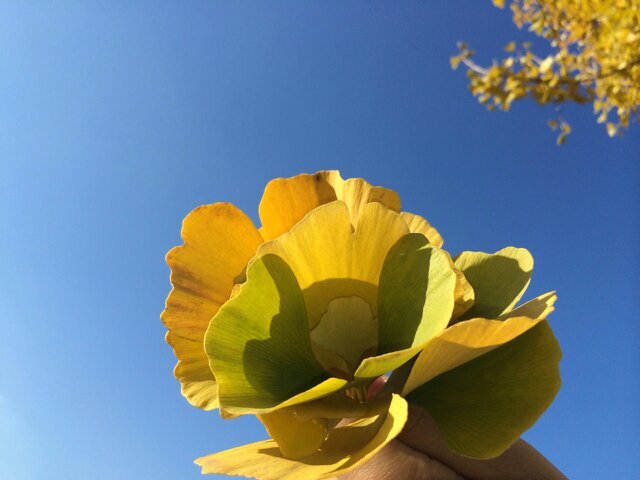 Spdp6666S's profile picture. 