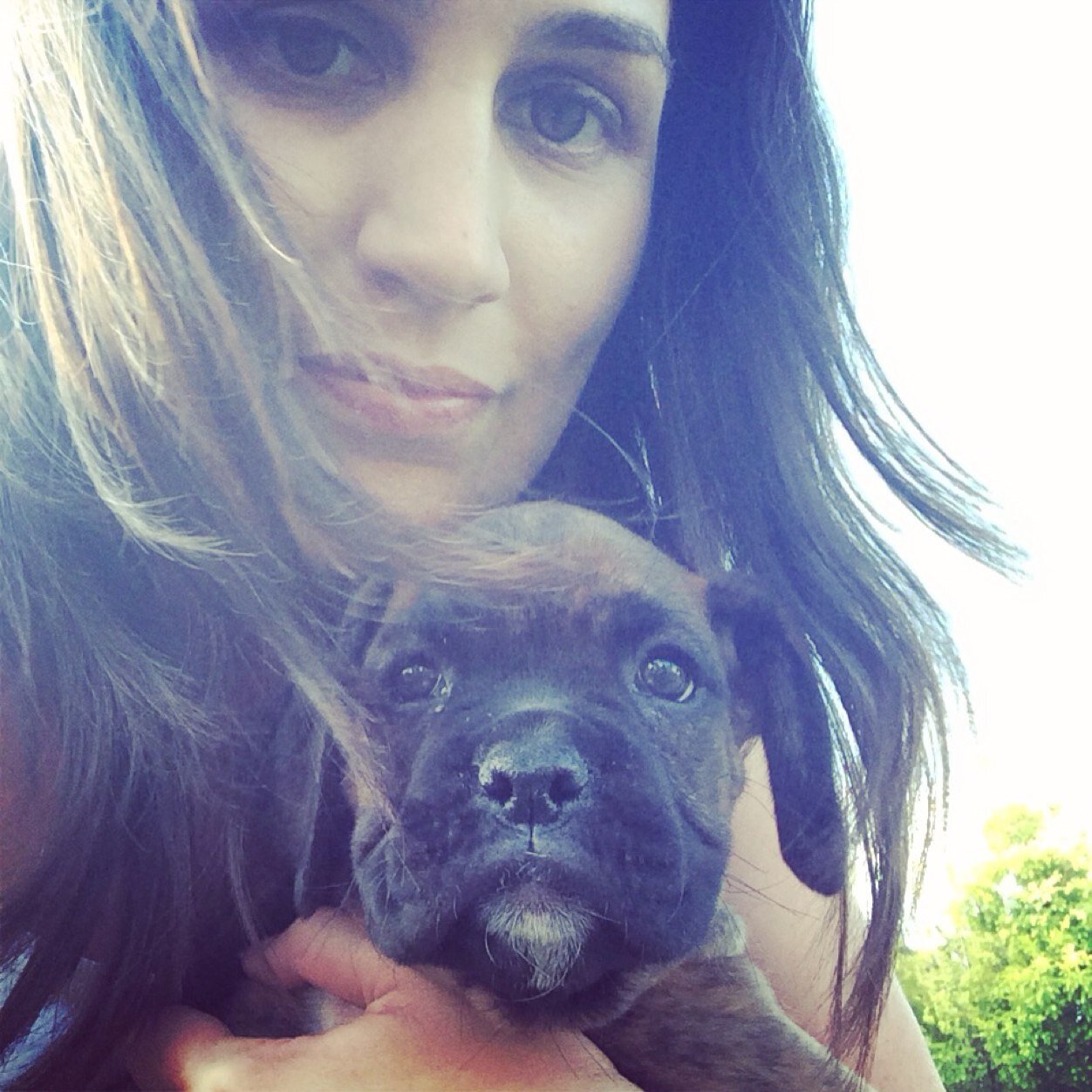 accountant, wife of @bassonbertus, mom to dogs snoek, patat & a puppy called bone & a pig called spek.