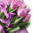meghana74966584's profile image