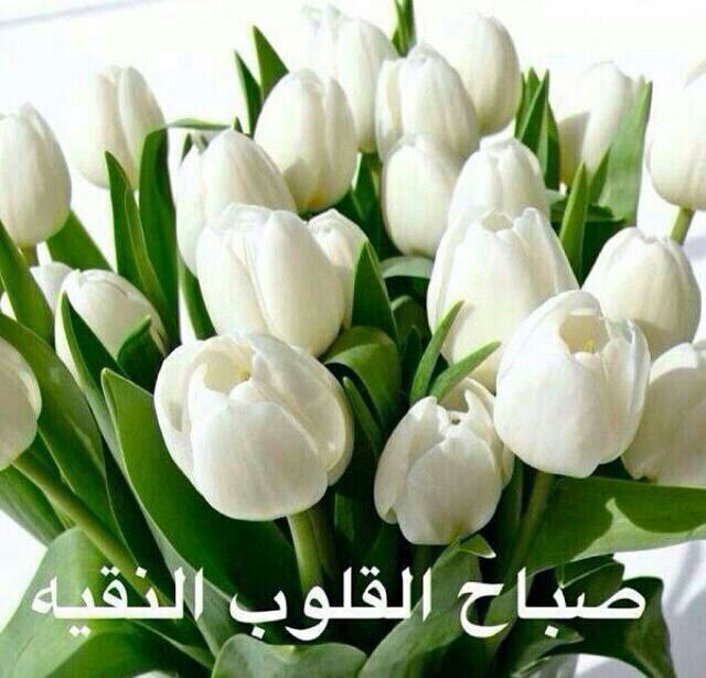 ‏‏‏‏‏‏‏عشقت السفر من ظلم البشر...                                   يارب إرحم قلوب تتألم ولا تتكلم