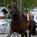 Sven Eriksson - @sveneriksson6 - Twitter