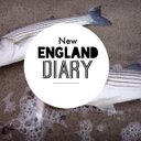 Robert Whitcomb - @thisnewengland - Twitter