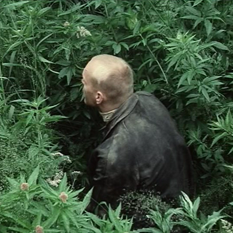 amkolsuz's profile picture. 