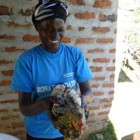 Rona Foundation (@ronafoundation) 's Twitter Profile