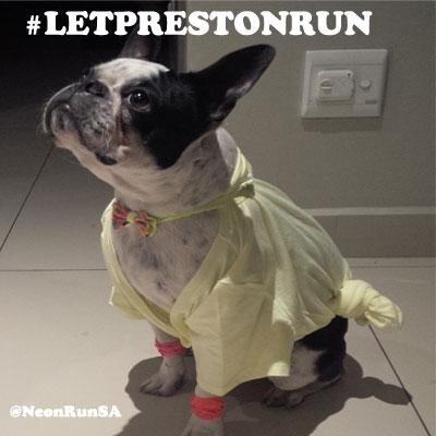 Just a Dog With A Dream  #LetPrestonRun