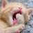 Miss_Peg retweeted this