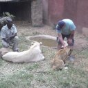 stephen streeter - @availles28 - Twitter