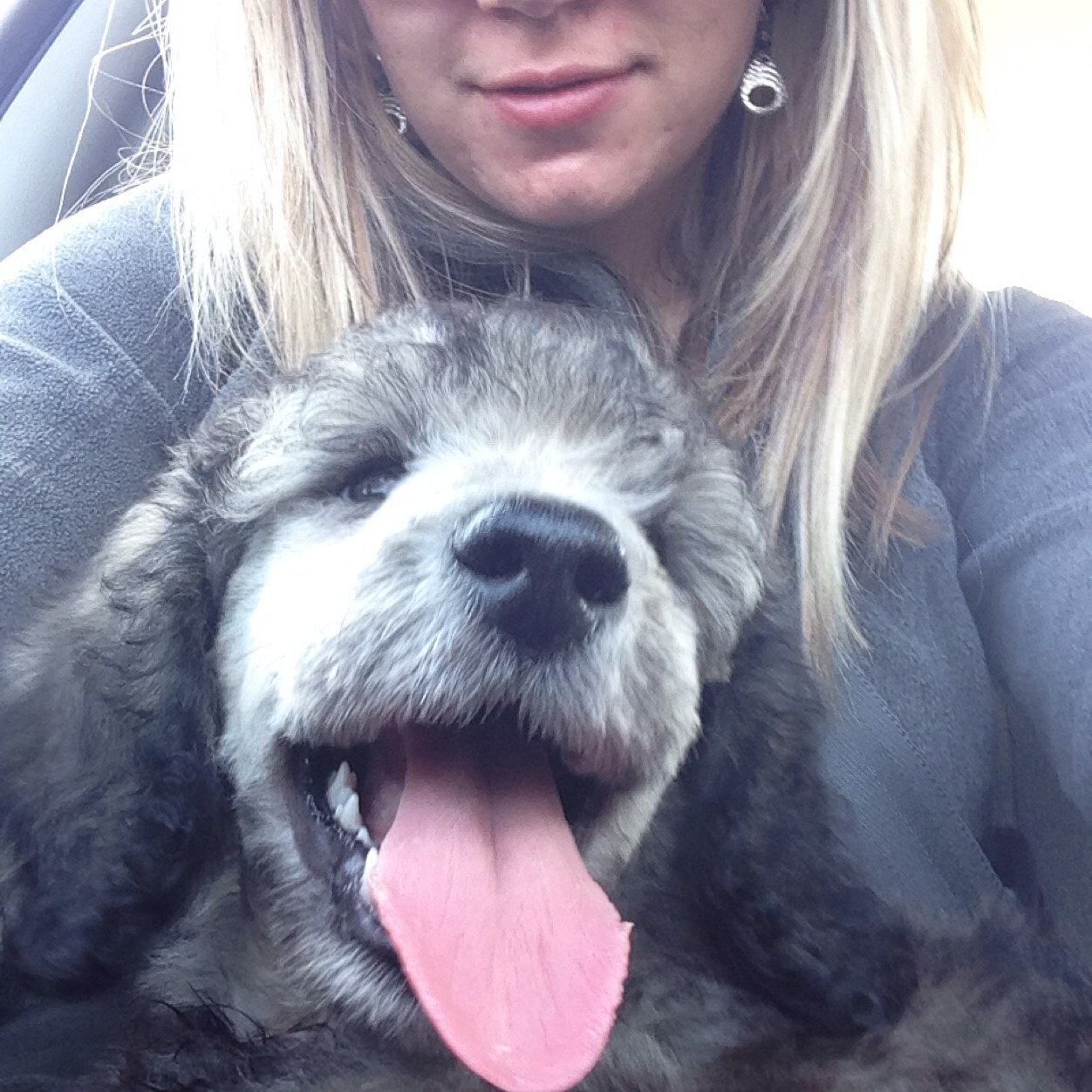 BeKaylie's profile picture. 