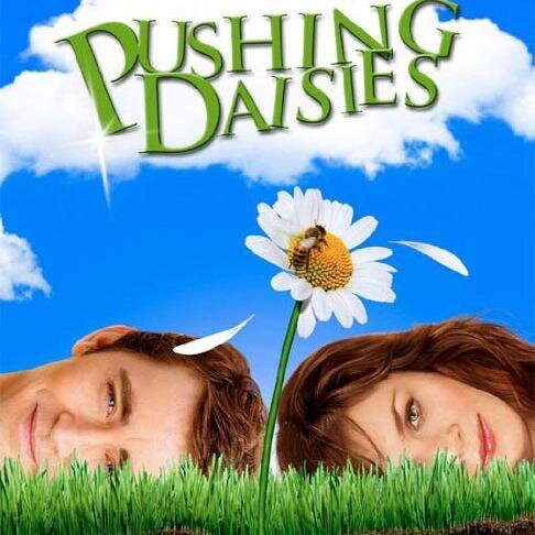 Unofficial Pushing Daisies. This account is for a school project and is in no way endorsed or representative of the presented parties.