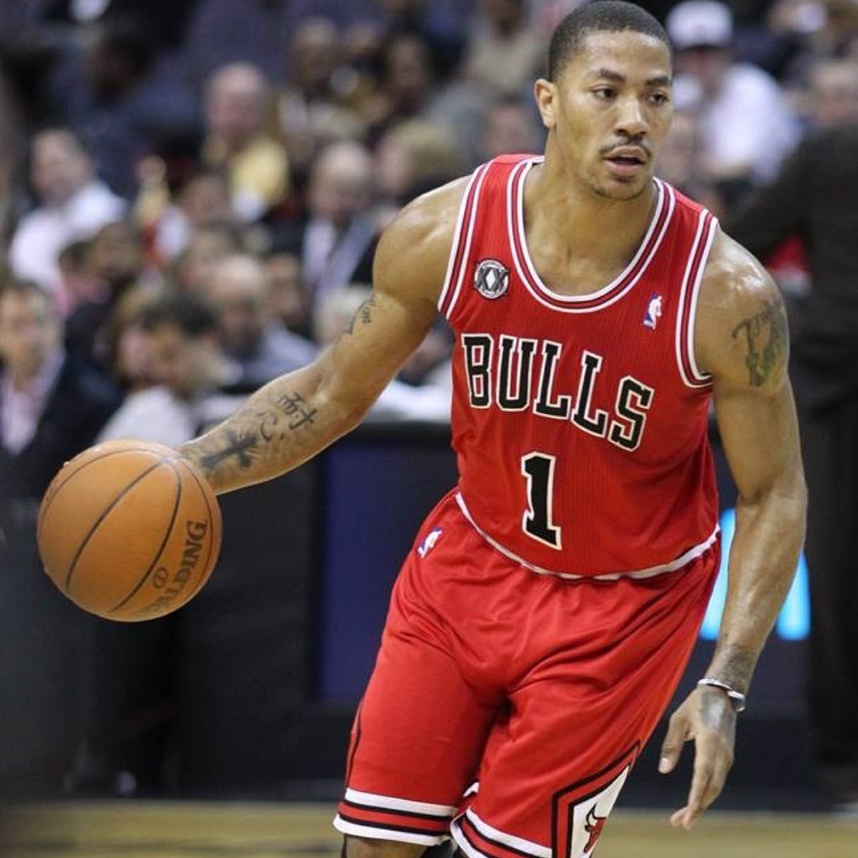 DRose4L1FE's profile picture. DRose NRobinson
All Day