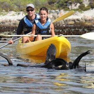 Walkerbay Adventures offers scenic guided kayak tours in Hermanus. We are also your gateway to the booking of any adventure activities in our beautiful region.