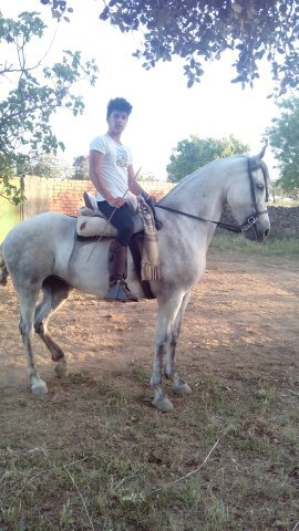 Aficionadoo a los caballos!!